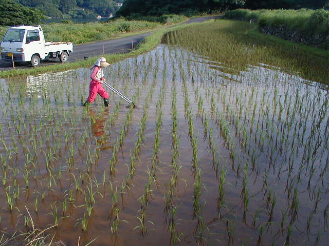 艟@ɂ鐅
k̎ʐ^